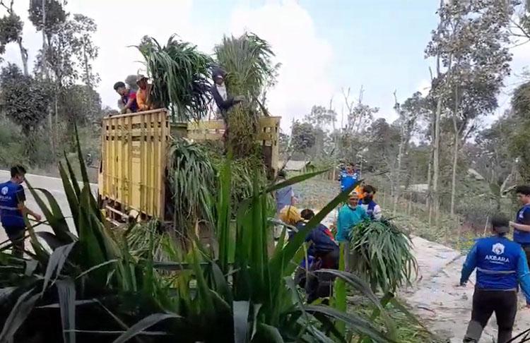 title Kementerian Pertanian Distribusikan Pakan bagi Peternak Terdampak Erupsi Gunung Merapi Kementerian Pertanian Distribusikan Pakan bagi Peternak Terdampak Erupsi Gunung Merapi