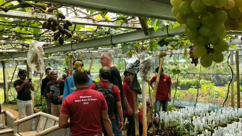 Belasan Warga Binaan dari Bogor Dilatih Budi Daya Anggur di Purworejo
