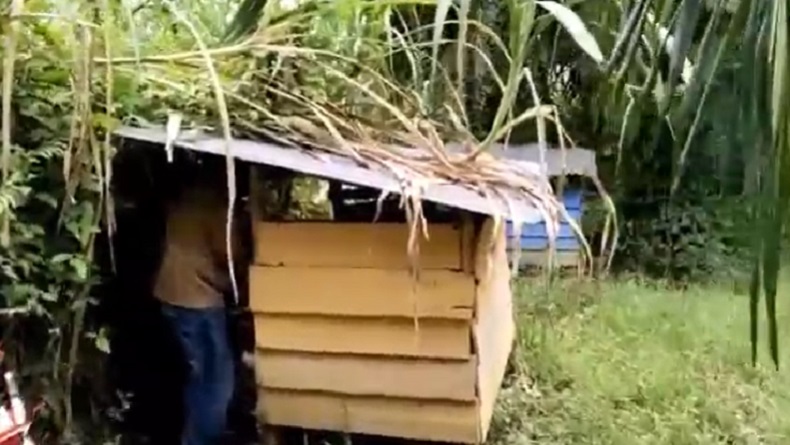 Remaja Mesum Dalam Gubuk Tepergok Petugas saat Razia  di Padanglawas
