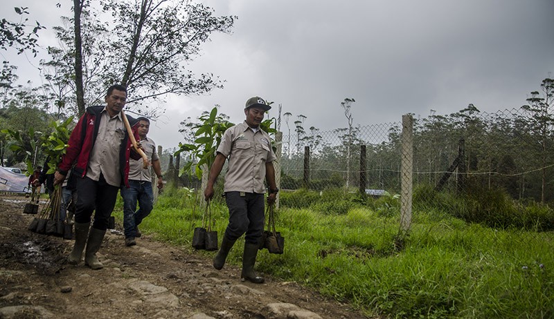Area Wisata Ranca Upas Rusak akibat Motor Trail Ditanami Bibit Bunga Rawa - Bagian 2