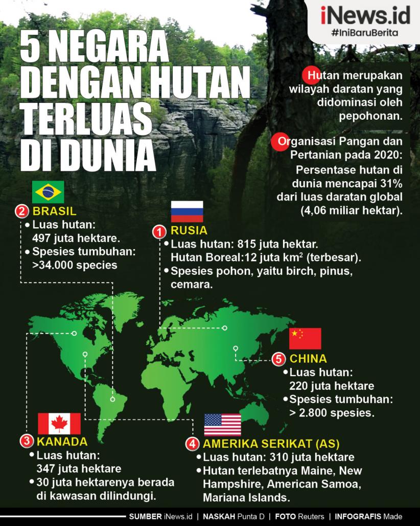 Infografis 5 Negara dengan Hutan Terluas di Dunia, Nomor 2 Banyak Keanekaragaman Hayati