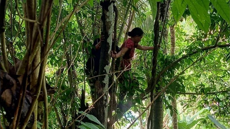 Aksi Heroik Prajurit TNI Gagalkan Perempuan Coba Gantung Diri di Atas Pohon