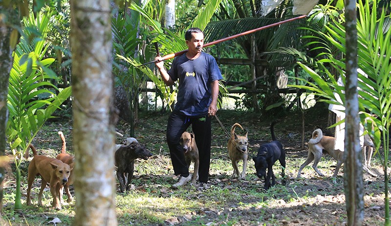 Melihat Warga Aceh Berburu Hama Babi - Bagian 2
