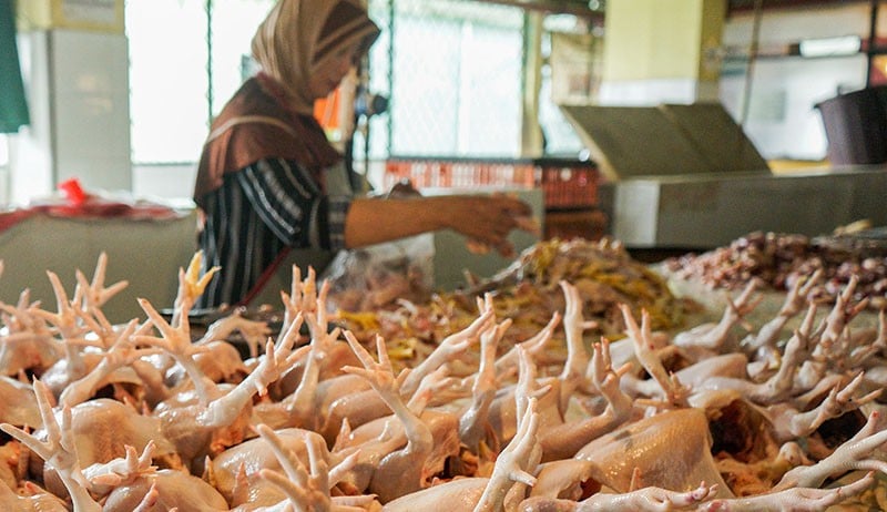 Harga Daging Ayam Tembus Rp35.000 per Kg Jelang Ramadan - Bagian 1