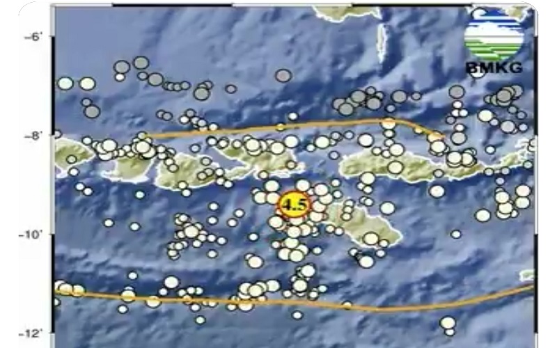 Gempa Bumi Terkini Berkekuatan Magnitudo 4,5 Guncang Tambolaka NTT