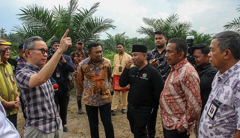 OJK Dorong Peningkatan Akses Pendanaan Kepada Petani Sawit