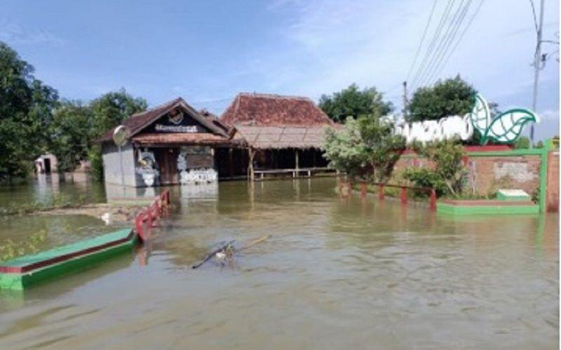 title Banjir di Pati Sisakan 1 Desa yang Masih Terdampak, Ini Penampakannya Banjir di Pati Sisakan 1 Desa yang Masih Terdampak, Ini Penampakannya