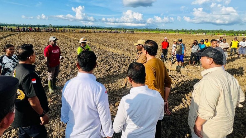 Jokowi Tinjau Food Estate di Keerom Papua, Siapkan 10.000 Hektare untuk Tanam Jagung