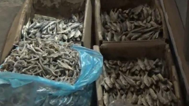 Jelang Ramadhan, Harga Ikan Teri dan Telur di Grobogan Meroket