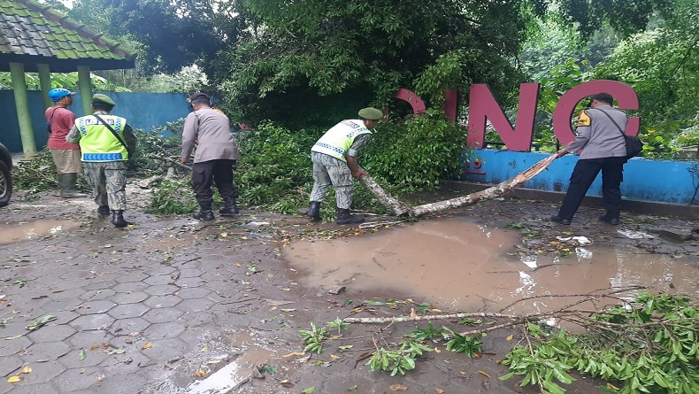 Batang Pohon Tumbang di Pemandian Kali Gending Timpa Pengunjung Padusan