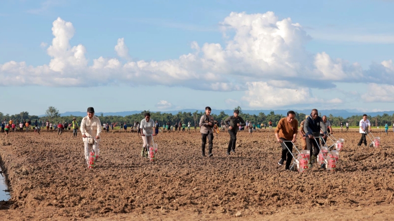 Presiden Jokowi dan Menhan Prabowo Kompak Tanam Jagung di Food Estate Keerom Papua