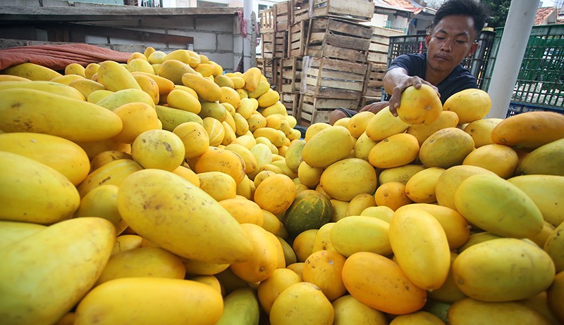 Membeli Timun Suri Khas Bulan Ramadan untuk Berbuka Puasa  - Bagian 2