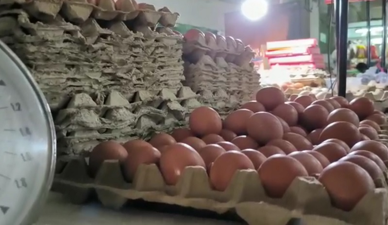 Harga Telur Ayam Tembus Rp31.000 per Kg, Permintaan Masih Stabil