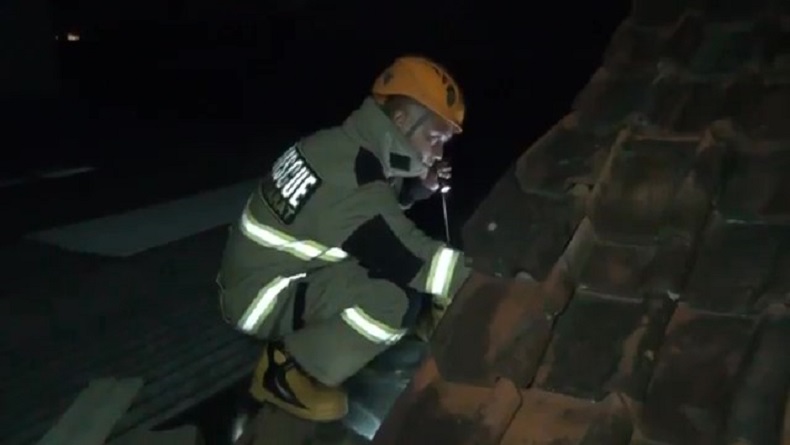 Dramatis, Evakuasi Sarang Tawon di KBB Terhalang Kabel Listrik Tegangan Tinggi