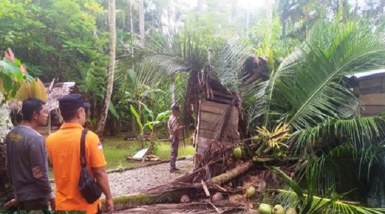 1 Rumah Warga di Aceh Barat Tertimpa Pohon saat Hujan Lebat dan Angin Kencang