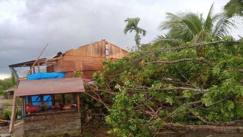 Angin Puting Beliung Terjang Tapsel, 4 Atap Kios Warga Terhempas hingga Pohon Tumbang