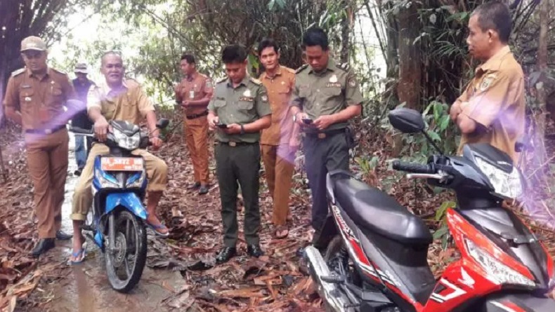 Satgas BKSDA Gerak Cepat Identifikasi Jenis Beruang yang Serang Warga Tabalong