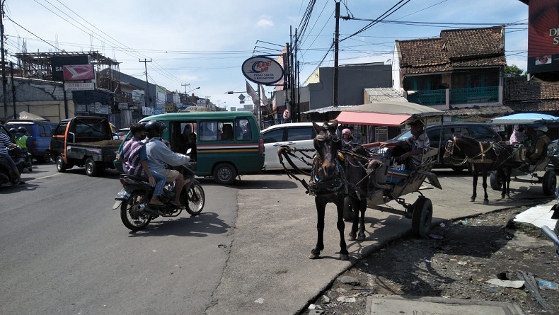 Dilarang Beroperasi, Kusir Delman Padalarang KBB Minta Kompensasi Rp250.000 per Hari