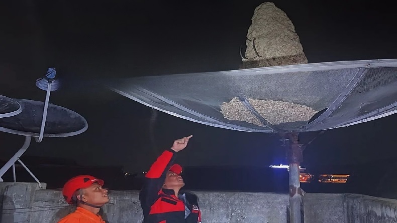 Bikin Resah Warga, Sarang Tawon Vespa Jumbo di Tarogong Kaler Garut Dimusnahkan