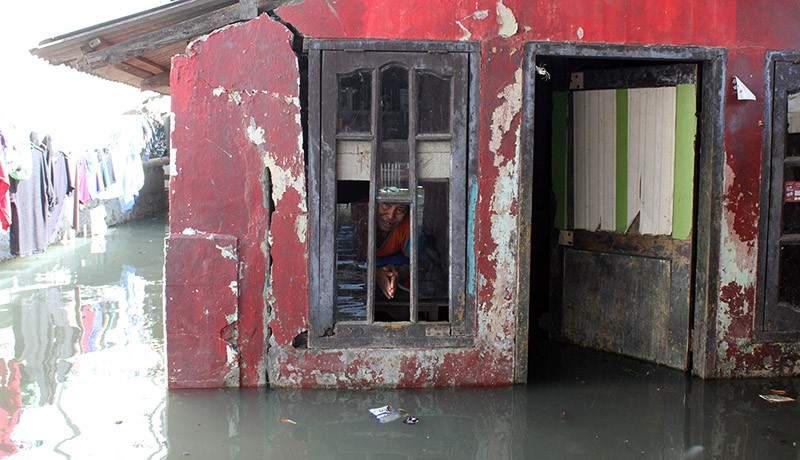 Banjir Rob Rendam Permukiman Warga Medan Belawan - Bagian 2