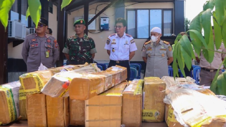 78 Bibit Tanaman Tanpa Sertifikat Dimusnahkan Balai Karantina Pertanian Palu