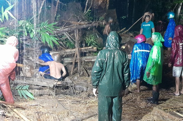 Longsor Timbun Kandang di Imogiri, 1 Ekor Sapi Mati dan 2 Berhasil Diselamatkan