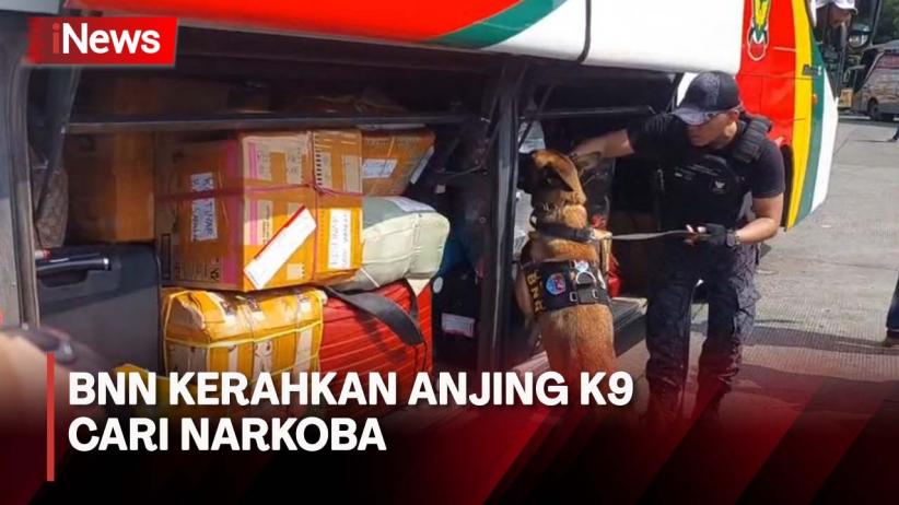 Cari Narkoba, BNN Kerahkan Anjing K9 dan Tes Urin Sopir di Terminal Kampung Rambutan