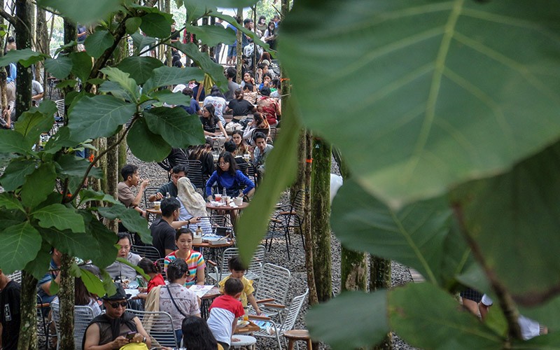 Wisata Alam Kebun Jati Destinasi Baru Liburan di Bogor - Bagian 2