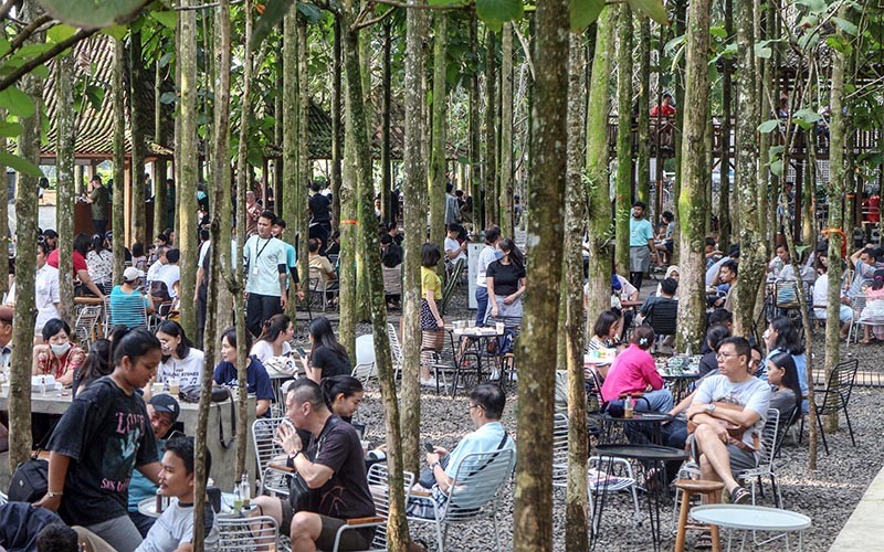 Wisata Alam Kebun Jati Destinasi Baru Liburan di Bogor - Bagian 1