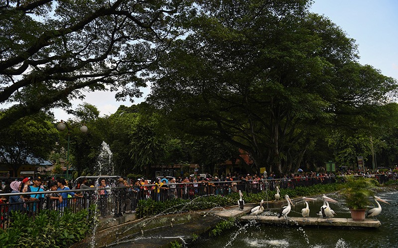 Belasan Ribu Wisatawan Padati Taman Margasatwa Ragunan - Bagian 2
