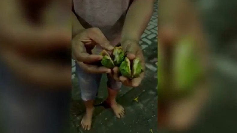 Rumah Ken Admiral Korban Penganiayaan Anak AKBP Achiruddin Diteror Lemparan Jeruk Purut