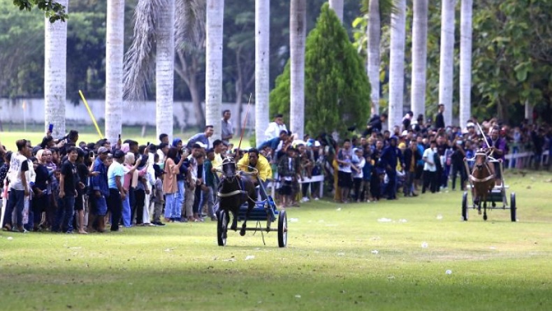 Karapan Sapi dan Kuda di Gorontalo Jadi Atraksi Menarik untuk Pariwisata 