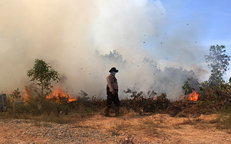 Ratusan Hektare Lahan Terbakar Menjalar ke Permukiman Warga akibat Cuaca Panas - Bagian 3
