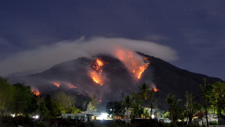 title BMKG: Sebagian Wilayah NTT Rawan Karhutla BMKG: Sebagian Wilayah NTT Rawan Karhutla