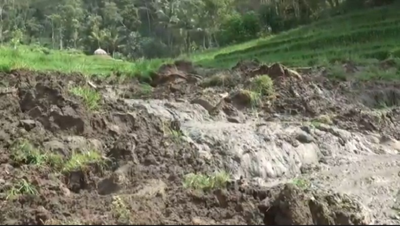 Ngeri, Detik-detik Sawah di Ponorogo Ambles lalu Longsor, Warga Histeris 