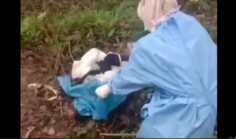 Bayi Tewas Membusuk dalam Plastik Gegerkan Warga Pacitan, Diduga Dilempar dari Kendaraan