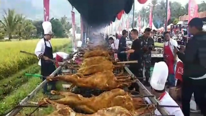 210 Domba Guling di Garut Pecahkan Rekor MURI