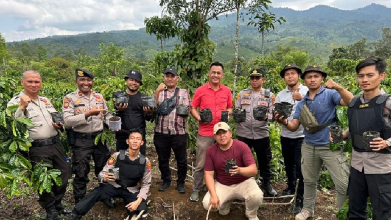 Polres Lampung Barat Ungkap Ladang Ganja di Kebun Kopi OKU Selatan