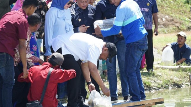 Ribuan Benih Ikan Nila Ditebar di Wailete Maluku