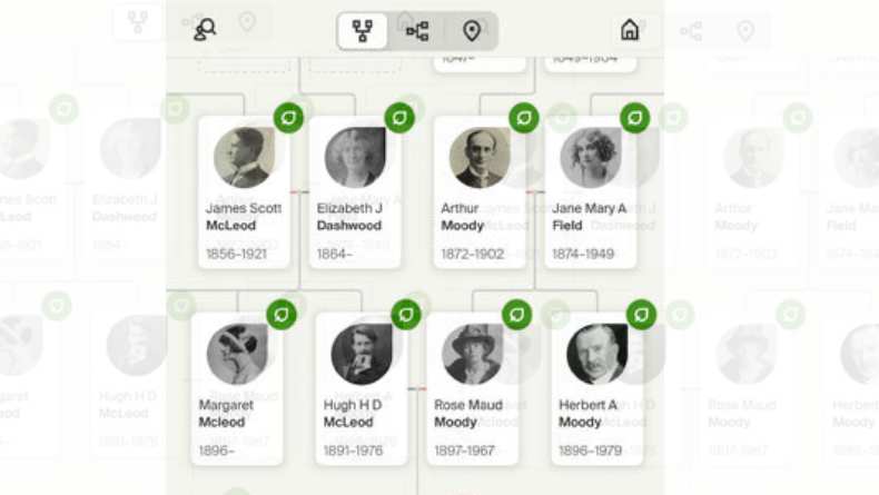 Rekomendasi Aplikasi Silsilah Keluarga, Yuk Cari Tahu Leluhurmu!