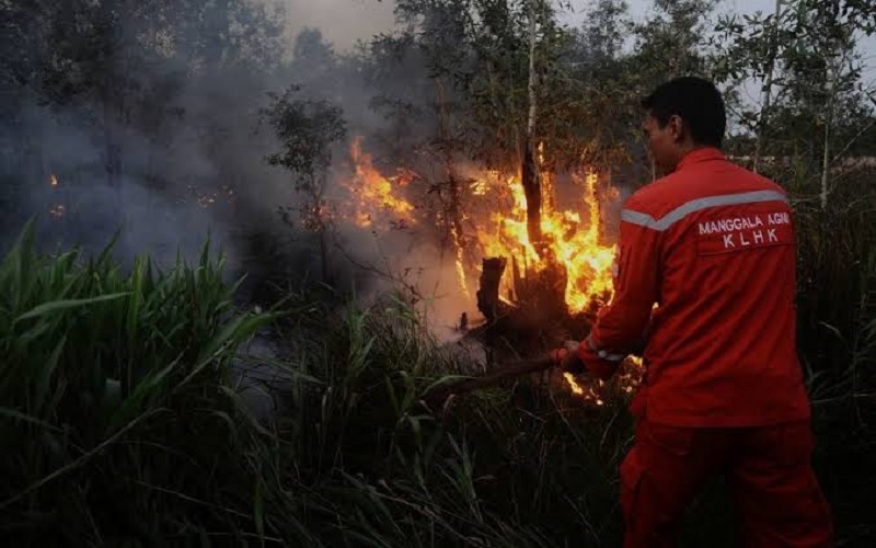 title Hotspot di Sumsel Naik Drastis, Ancaman Karhutla Meningkat Hotspot di Sumsel Naik Drastis, Ancaman Karhutla Meningkat
