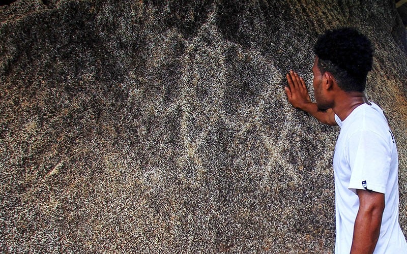 Mengunjungi Situs Megalitik Tutari, Belajar Masa Prasejarah di Papua - Bagian 1
