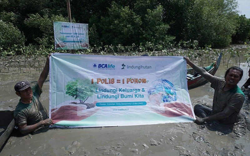 Dukung Kelestarian Lingkungan, BCA Life  Tanam 1.999 Pohon - Bagian 2