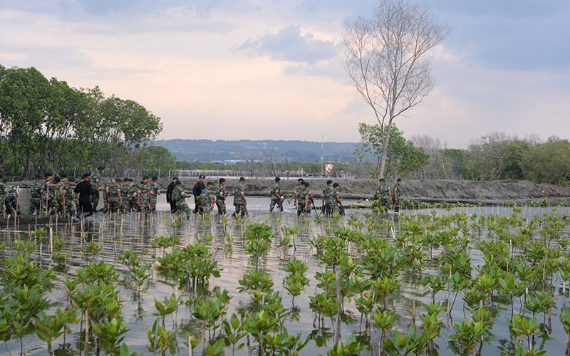 Prajurit TNI-Polri Kompak Tanam Bibit Mangrove di Pesisir Pantai Tirang Semarang - Bagian 2