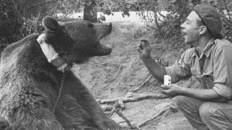 5 Hewan yang Pernah Dijadikan Mata-mata Militer, Nomor 3 Dapat Hadiah Saat Perang Dunia Kedua