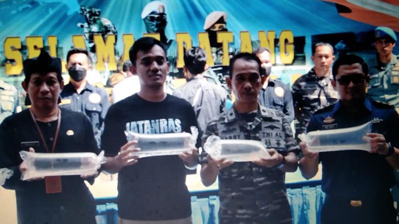 Lanal Cilacap Gagalkan Penyelundupan Ribuan Benih Lobster Ilegal, 2 Orang Ditangkap