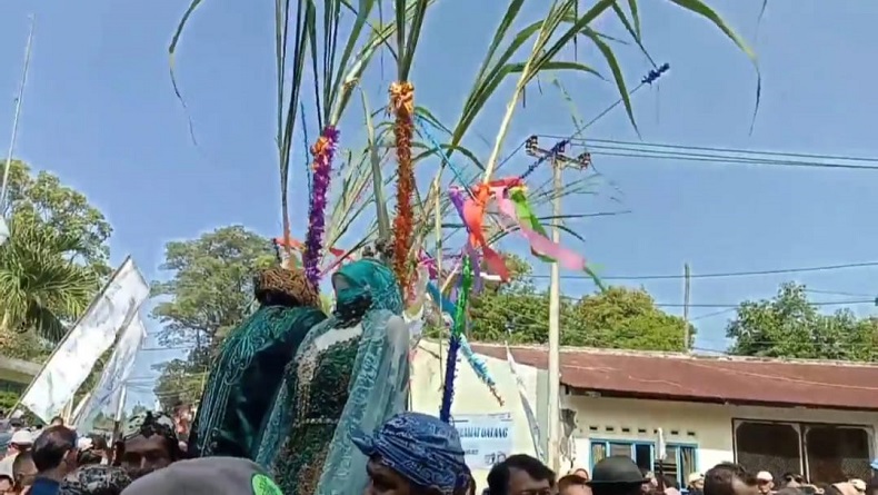 Tradisi Kawin Tebu Sambut Musim Giling Kembali Digelar di Sindang Laut Cirebon