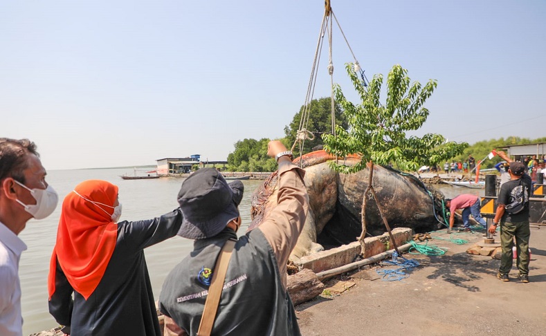 Bangkai Paus Balin Dibawa ke Museum Jatim Park 2, Ini Pesan Gubernur Khofifah 
