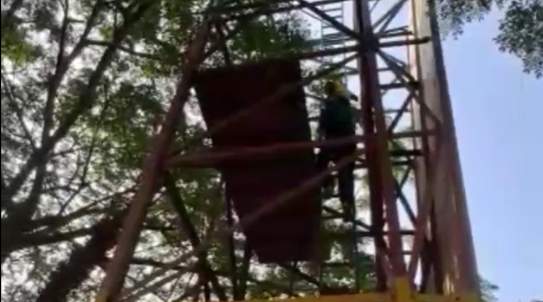 Bocah 8 Tahun di Bangkalan Menangis Histeris Terjebak di Atas Menara 8 Meter 