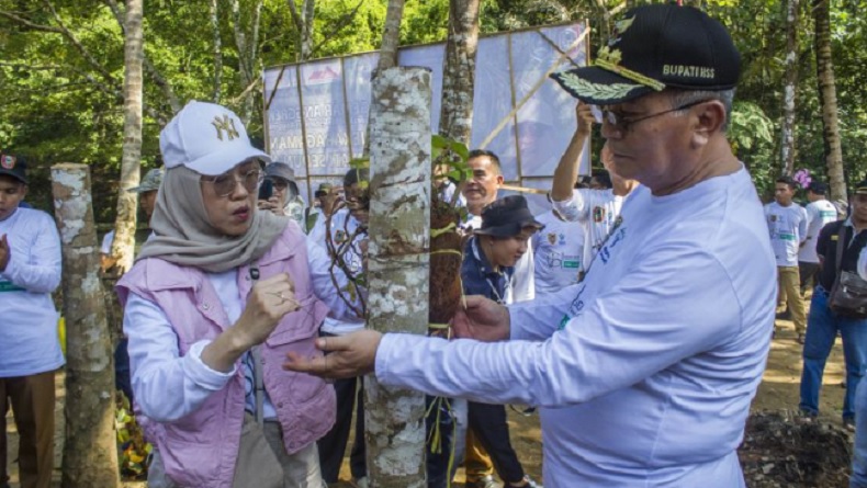 Kepala DLH Kalsel: Kita Temukan Banyak Anggrek di Hutan Liar Desa Tumingki